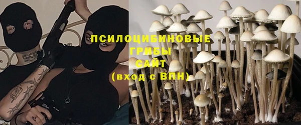 стафф Абинск