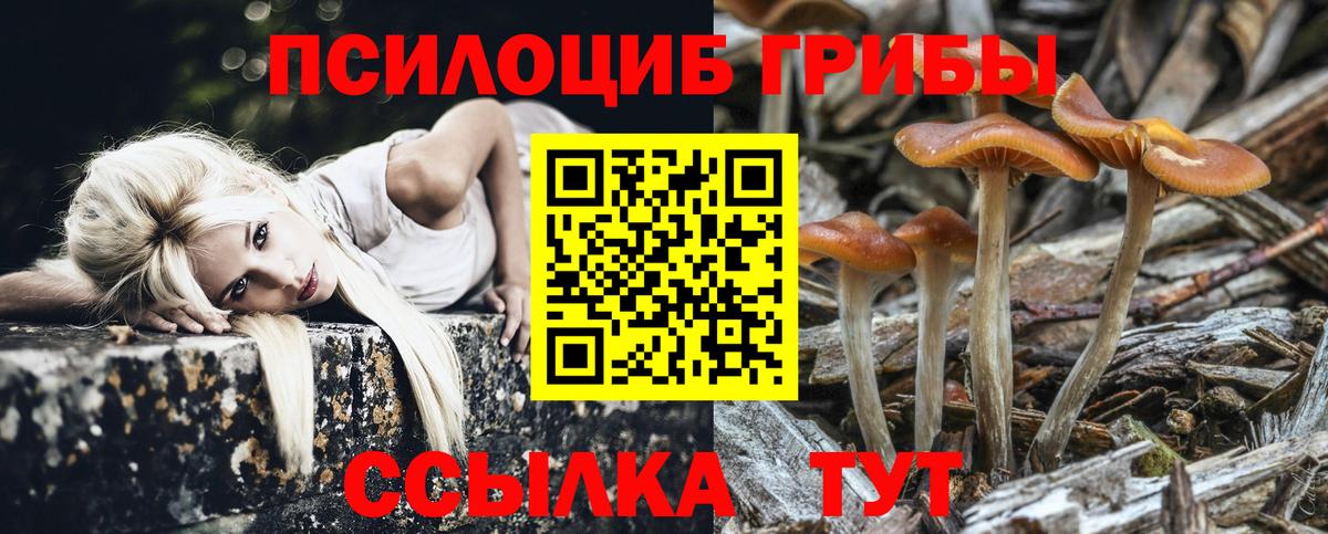 Галлюциногенные грибы MAGIC MUSHROOMS Россошь