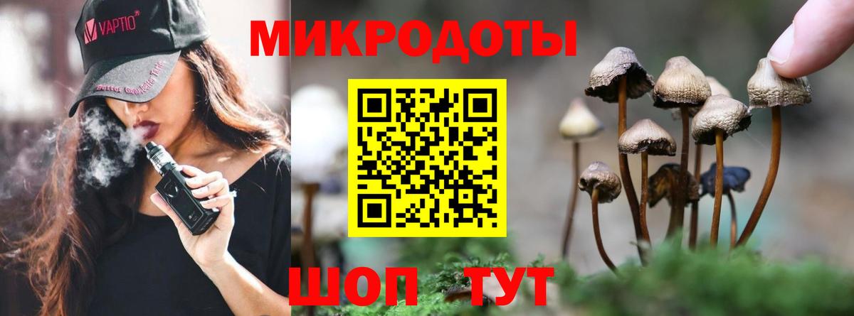 Псилоцибиновые грибы прущие грибы  Вход с VPN  Россошь 